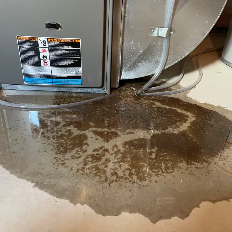 Appliance Leak Cleanup in Haleyville, AL